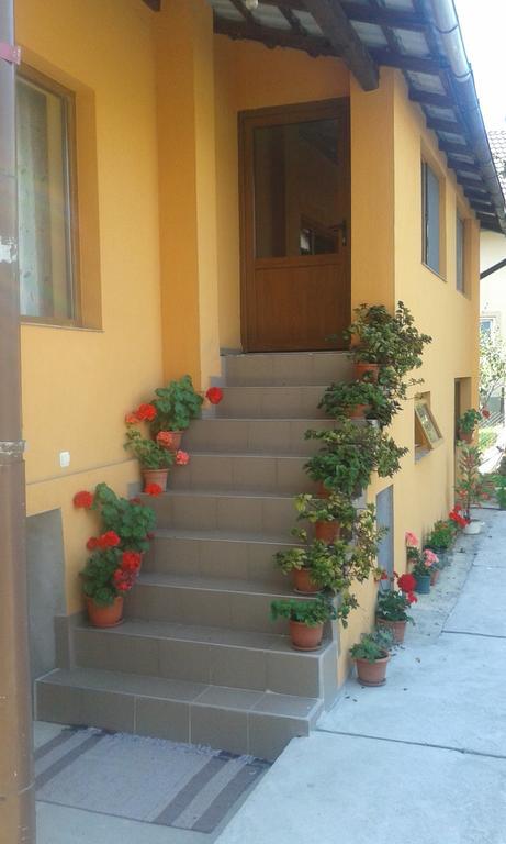 Pensiunea Popan Şieu Exterior foto