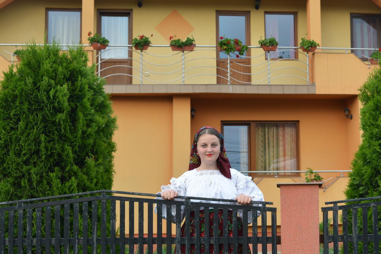 Pensiunea Popan Şieu Exterior foto