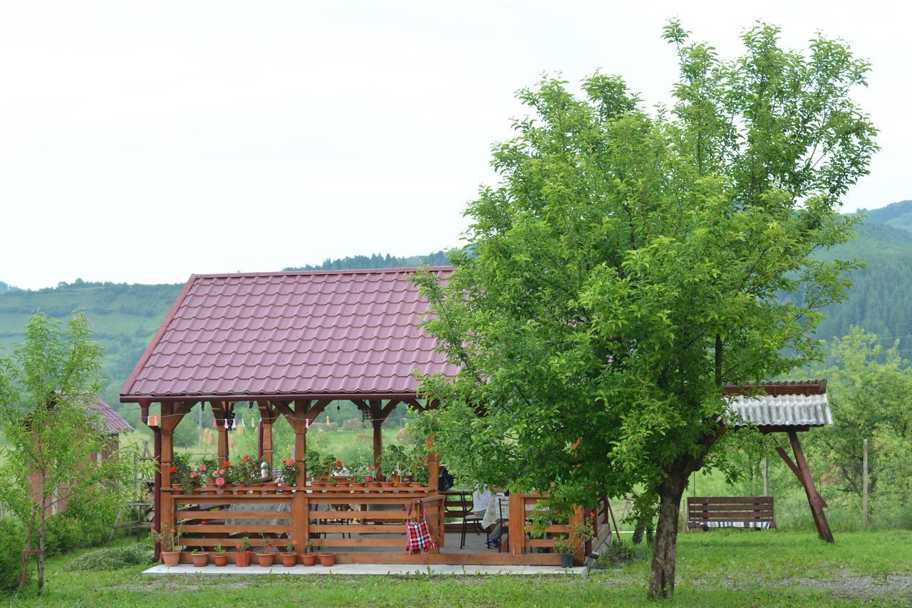 Pensiunea Popan Şieu Exterior foto