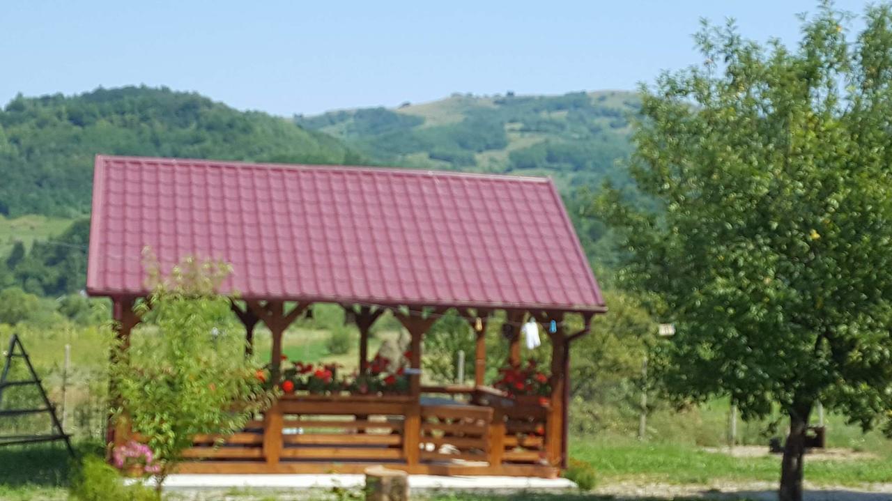 Pensiunea Popan Şieu Exterior foto